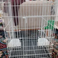 قفس بزرگ ۷۰در ۴۵