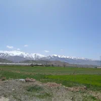 سبزیجات خانگی سرکه ترشی