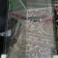 اکواریوم شرکتی خم شیشه