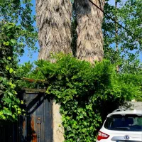 ویلای دربستی ساحلی
