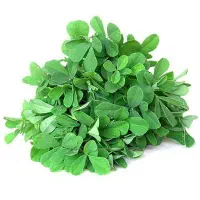 اجاره ۲هکتار زمین کشاورزی‌آبی ۱ساله