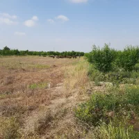 فروش ۳۰۰۰متر باغ و۵ ساعت اب عمیق