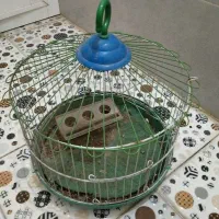 قفس پرنده