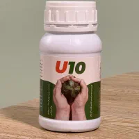 U10  راه حل حرفه ای برای مشکلات گیاهان آپارتمانی