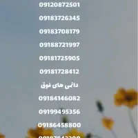 فروش خط دائمی همراه اول