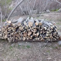 چوب انجیر کیلویی۲۰هزار