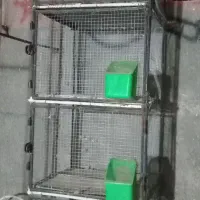 جفت گاه کبوتر