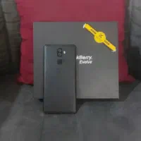 Blackberry evolve