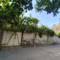 300 متر/شمالی/علویه/چهار دانگ قابل مشارکت