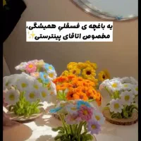 باغچه فسقلی