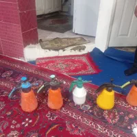 قوطی سم پاشی