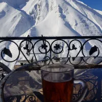 تک-واحدی-میگون-نو-boliukat-home