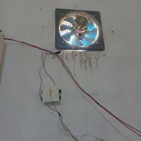 فن پنجاه در پنجاه