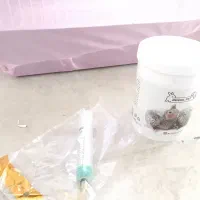 عروس هلندی