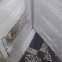 یخچال‌ درحد نو معاوضه با کسول بازی یا گوشی دارم