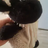 کوله پشتی بچگانه کاملا نو