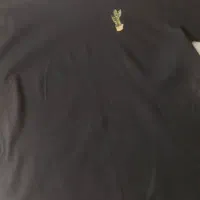 تیشرت بیسیک رنگ سیاه با گلدوزی کاکتوس