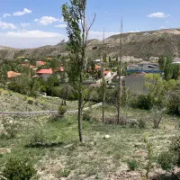 ملک جهت ویلا