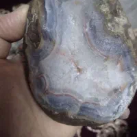 سَنگ شجرپاییزه و عقیق