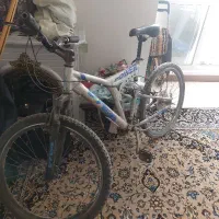 دوچرخه ویوا