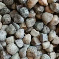 گرگرو تمیز