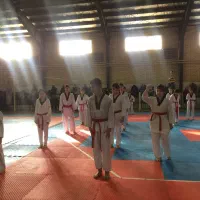 اموزش تکواندو و هنر رزمی