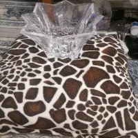 ظرف ستاره شکل پذیرایی