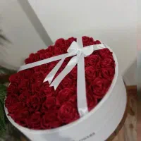 گیفت|گل مصنوعی|بندرعباس, |دیوار
