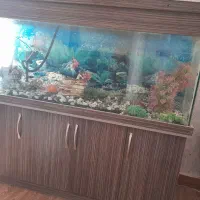 آکواریوم  بزرگ قابل معاوضه