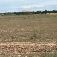 زمین زراعی مخصوص باغ ۳۰۰۰ متر