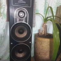اسپیکرخانگی