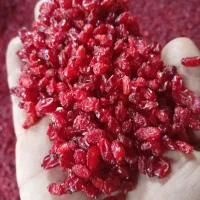 زرشک و گل محمدی