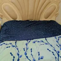 تخت همراهه تشک