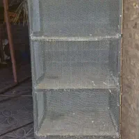 جفت کن کبوتر