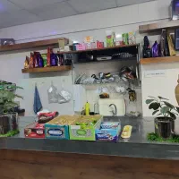 کافه صبحانه