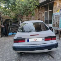 زانتیا سفید