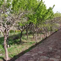 چاهشک خانه باغ