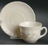 فنجان و نعلبکی
