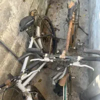 دو عدد دوچرخه باهم
