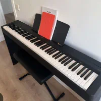 yamaha p145