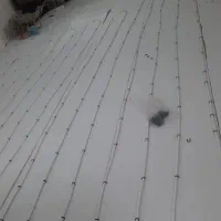 تاسیسات ساختمانی کلاته و پسران