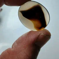 شجر|جواهرات|صحنه, |دیوار