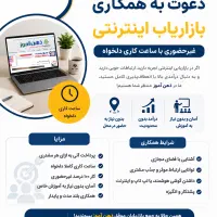 بازاریاب اینترنتی غیرحضوری