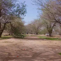 زمین مسکونی