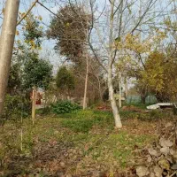 ۲۳۰متر زمین باغی سند دار با جواز ساخت