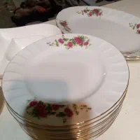 چینی زرین اصل ده تا ودو دیس کاملا سالم