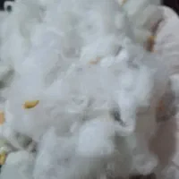 پشم شیشه نو