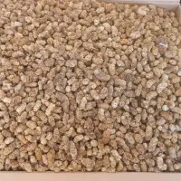 توت خشک