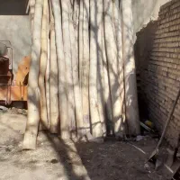 انواع چوب
