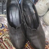 کفش|کیف، کفش، کمربند|مشهد, ارشاد|دیوار